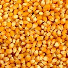 Raw Maize